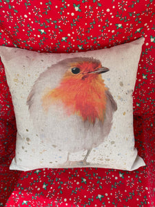 CHRISTMAS ROBIN CUSHION  Workshop